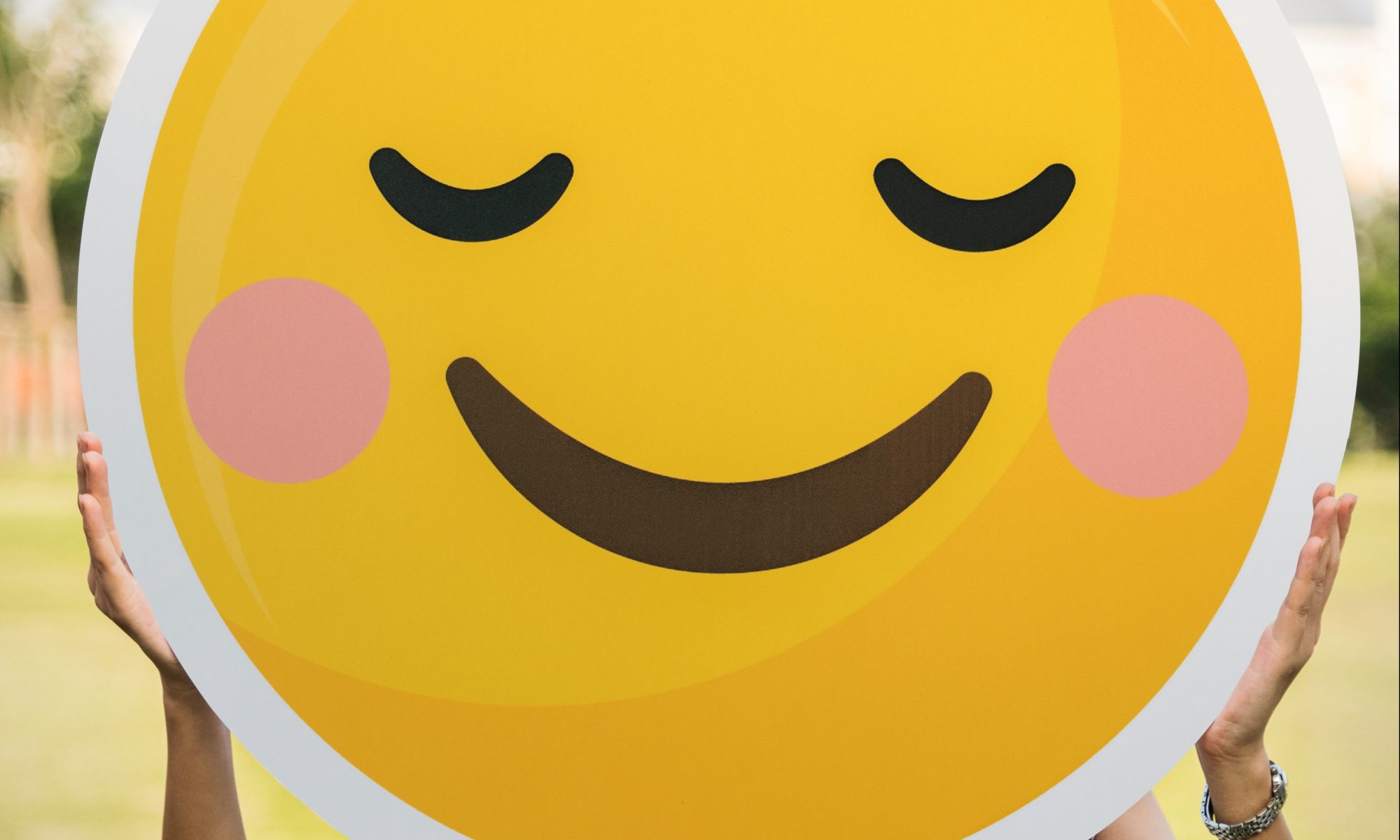Happiness Emoji Face