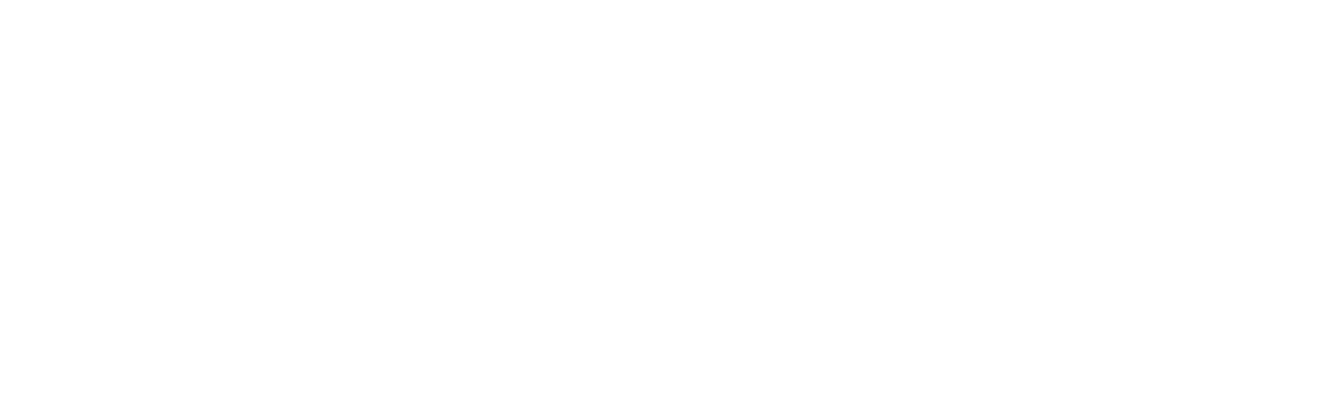 Elizabeth C. Burrows signature font