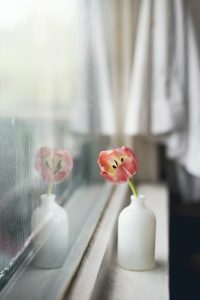 kari-shea-Pt6_A6-Kt60-unsplash-200x300 Flower in vase on window sill